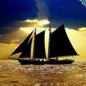 Meet your Posher, Kristina